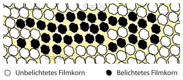 Filmauflösung