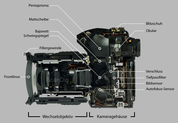 Schnittbild einer Spiegelreflexkamera
